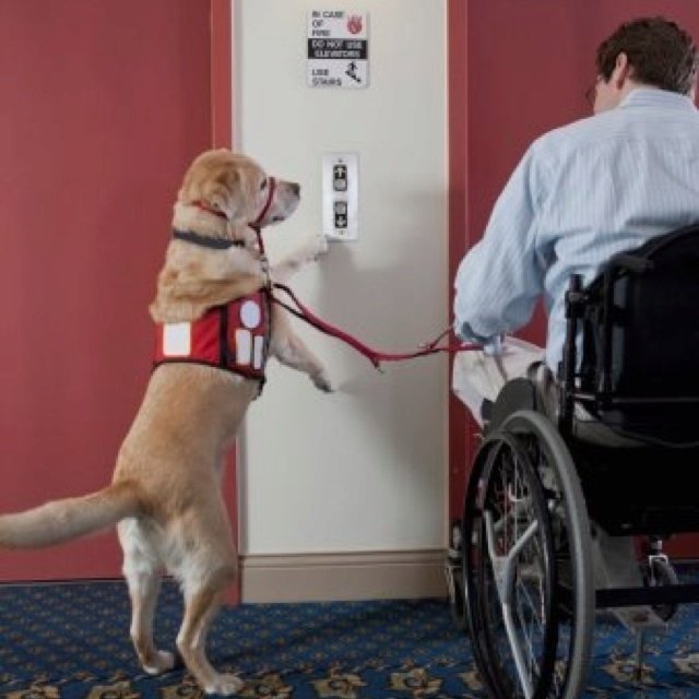 3b36b6bc-5cdd-4423-af22-7e95a1318ddf