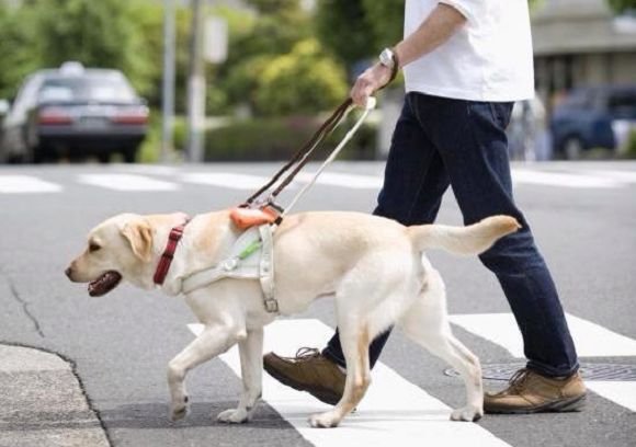 c866394a-4e68-409c-a877-8b3af6601a91