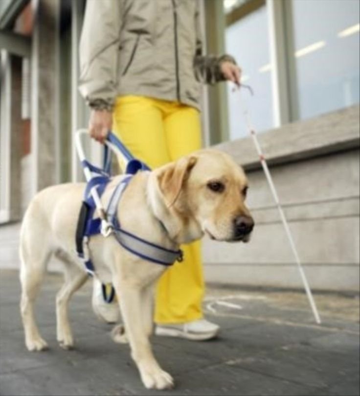 e44e5202-15f8-4532-88c5-f53f8149ba7b