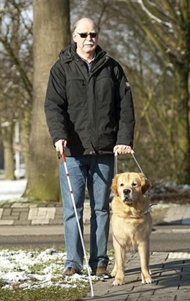 e778d0bc-9c39-4904-93fb-285540d403c7