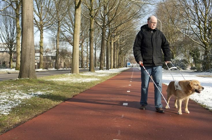 fe3dff45-c415-47c4-8b65-e8623b4e3a4e